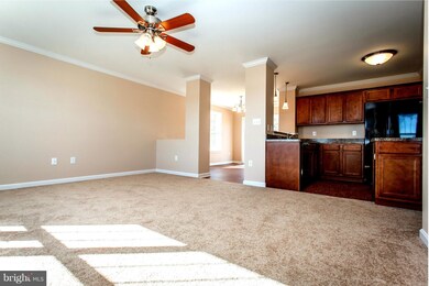 LOT 23 Bowie Rd, Washington, VA 22443 - photo 4