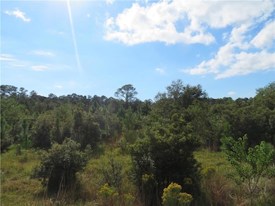 View of wooded area
