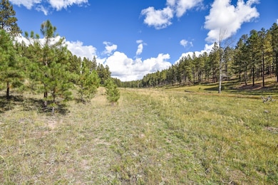 27.5 Acres Jemez Mountain Forest Rd 10, Jemez Springs, NM 87025 - photo 2
