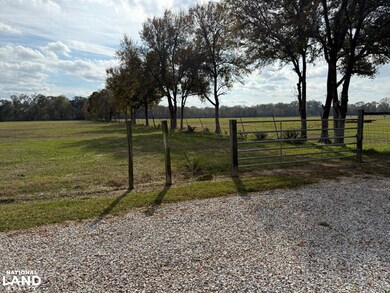 291 Smalling Rd, Rayville, LA 71269 - photo 4