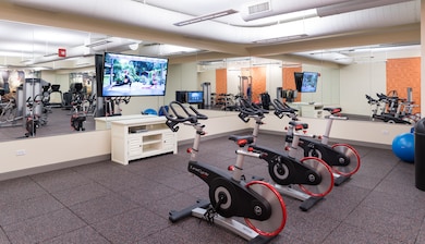 255 N Addison Ave unit 626, Elmhurst, IL 60126 - photo 4