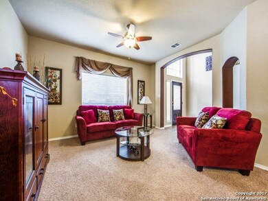 10510 Cosmos Canyon, Helotes, TX 78023 - photo 5