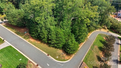 4029 Beechwood Spring Ln unit 52, Belmont, NC 28012 - photo 5