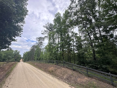 1540 Watson Bailey Rd, Harlem, GA 30814 - photo 3