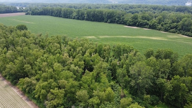 0 Levee Rd, Fults, IL 62244 - photo 3