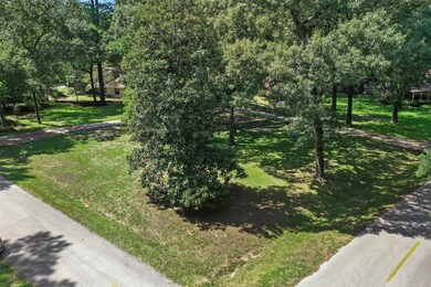 18706 Mockingbird Ln, Tomball, TX 77377 - photo 2