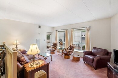 Hingham Woods unit 215, South Weymouth, MA 02190 - photo 4