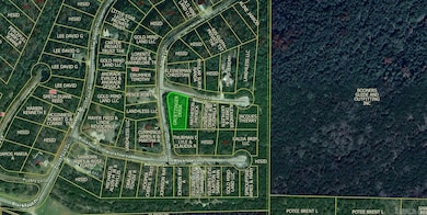 Lot 5 Sioux Ln, Holiday Island, AR 72631 - photo 2