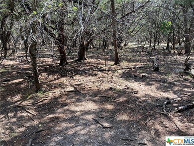 16264 Charlya Dr, Temple, TX 76502 - photo 4