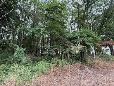 5160 Quackenbush Rd, Reading, MI 49274 - photo 5