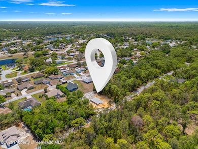 DJI_20250430142154_0529_D Pin