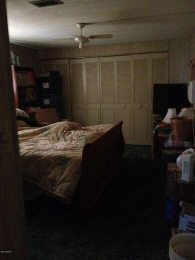 photo 1 (3)