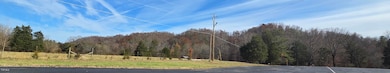 355 N Austin Springs Rd, Piney Flats, TN 37686 - photo 2