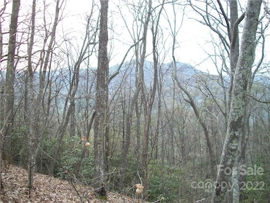0 Anglers Ridge unit B1, B2,B3,B4, Waynesville, NC 28786 - photo 2