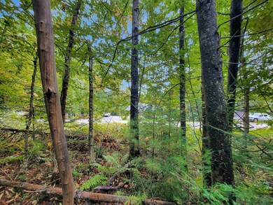 201-096 Lakeside Dr, Haverhill, NH 03784 - photo 3