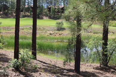 570 Rockcress Lane