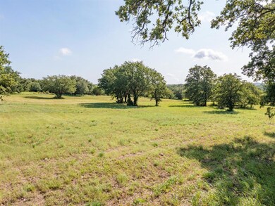 329 Arborview Dr, Weatherford, TX 76088 - photo 4
