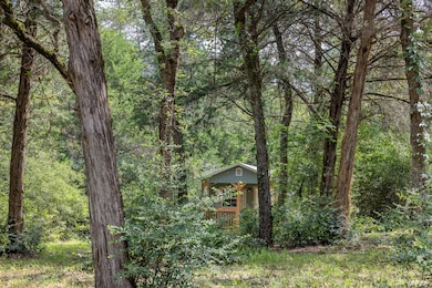 9795 County Road 316, Caldwell, TX 77836 - photo 5