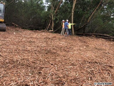 0 Haleakala Hwy unit Lot 37 384266, Kula, HI 96790 - photo 3