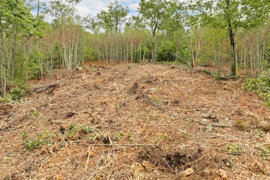 0 Long Stack Ln, Wolfeboro, NH 03894 - photo 6