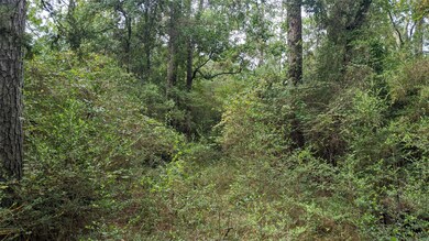 23403 Cardinal Dr, Hockley, TX 77447 - photo 3