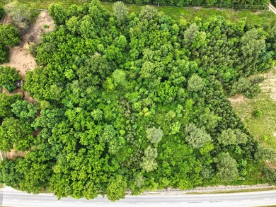 5540 Prince Edward Hwy, Prospect, VA 23960 - photo 5