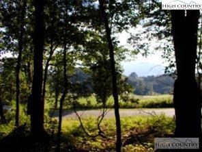 Level and slightly sloped lot with mountain views.