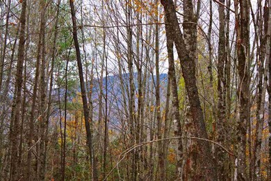 0 Darling Hill Rd unit 4691630, Burke, VT 05832 - photo 6