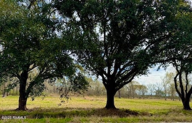 0 Tbd 5th Street (Tract 3), Iota, LA 70543 - photo 6