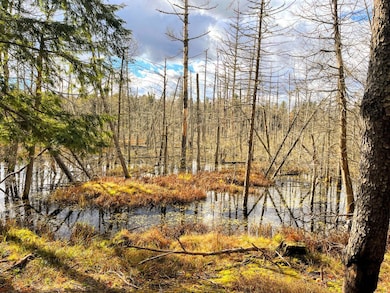 00 Boyd Pond Rd unit Lot 8 & 9, Russell, NY 13684 - photo 2