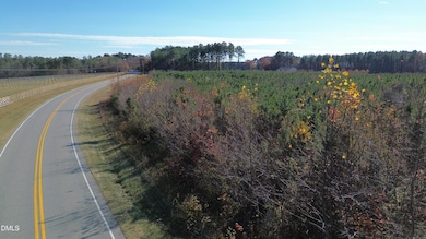 0 Duke Valentine Wynne Rd unit 10133928, Louisburg, NC 27549 - photo 4