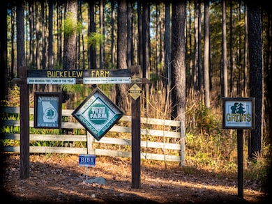 0 Tbd Upper River Rd, Macon, GA 31211 - photo 7