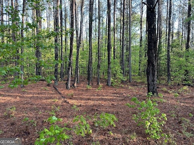 1433 Cleveland Farm Rd, Locust Grove, GA 30248 - photo 3