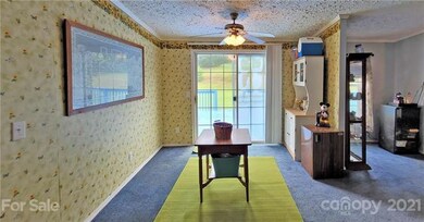 120 Quiet Woods Dr, Leicester, NC 28748 - photo 6