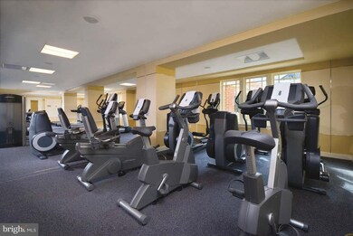 The Ritz-Carlton Residences, Baltimore, MD 21230 - photo 7