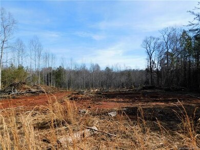 Lot 8 Furnace Rd, Lincolnton, NC 28092 - photo 7