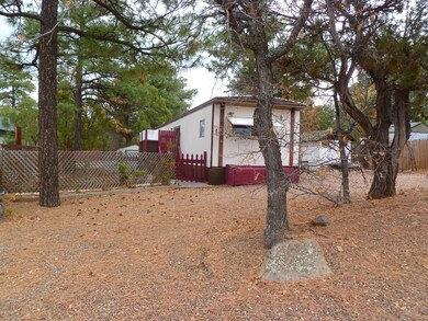 881 S 11th Dr unit 5, Show Low, AZ 85901 - photo 3