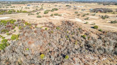 232 Latigo Way, Weatherford, TX 76088 - photo 5