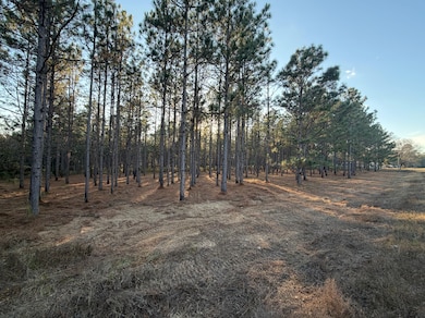 1156 County Rd, Troy, AL 36081 - photo 2