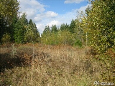 518 364th St E, Roy, WA 98580 - photo 5
