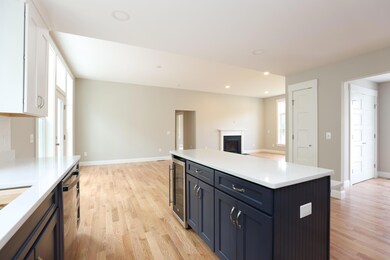 Kitchen IV