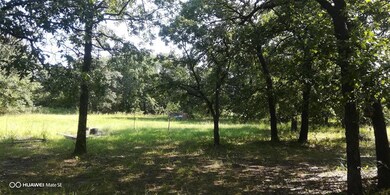 1341 County Road 4764, Boyd, TX 76023 - photo 6