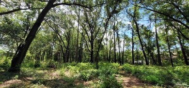 8632 Eight Mile Creek Rd, Pensacola, FL 32526 - photo 4