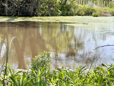 849 Mount Tabor Rd, Ewing, KY 41039 - photo 4