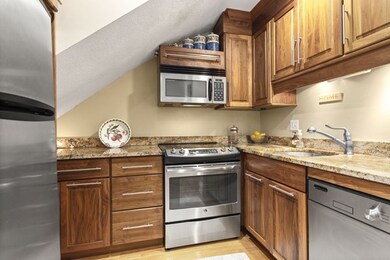 37 Worcester St unit 2, Boston, MA 02118 - photo 7