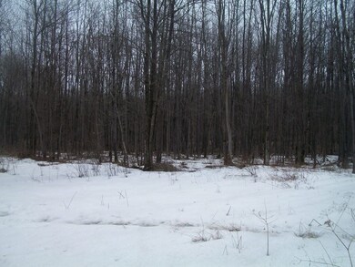 N4268 County Road B, Glen Flora, WI 54526 - photo 6