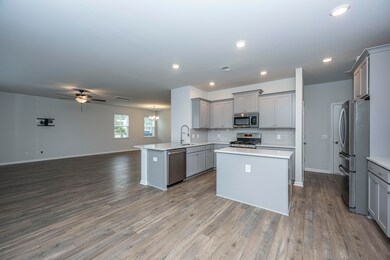 256 Firewheel Ct, Summerville, SC 29486 - photo 4