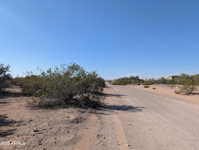 39143 W Catalina Dr unit 1164, West Phoenix Estates, AZ 85354 - photo 5