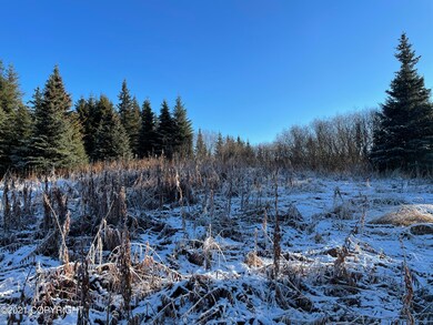 0000 Trail Rd, Anchor Point, AK 99556 - photo 4
