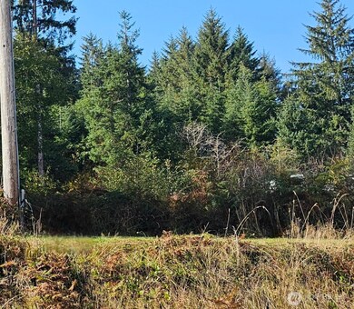 5635 Highway 101, South Bend, WA 98586 - photo 5